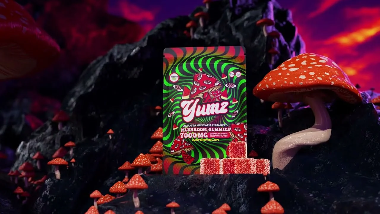 magic mushroom gummies