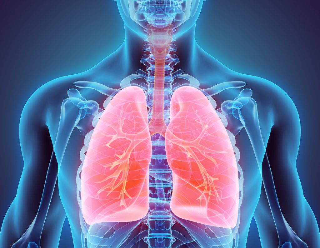 Exploring The Link Between Pulmonology And Cardiology